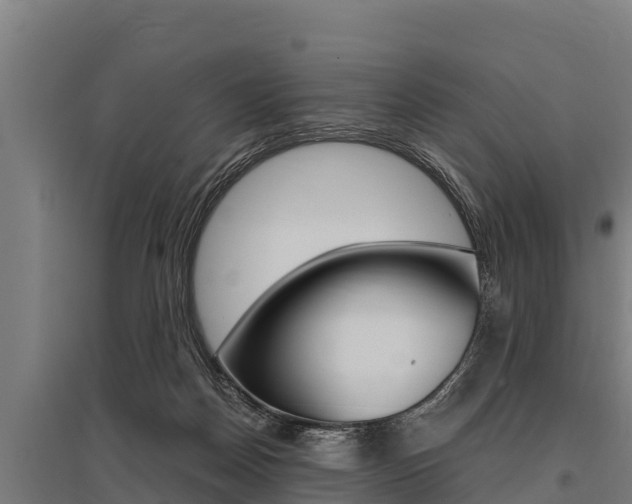 X0000096140170200801180900