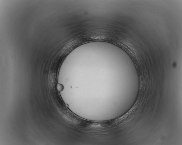 X0000096140171200801180900