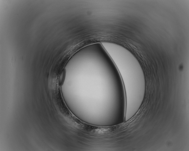 X0000096140172200801180900