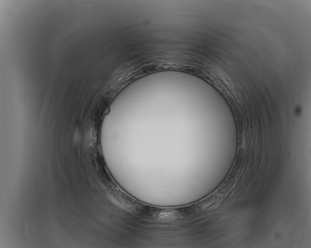 X0000096140173200801180900