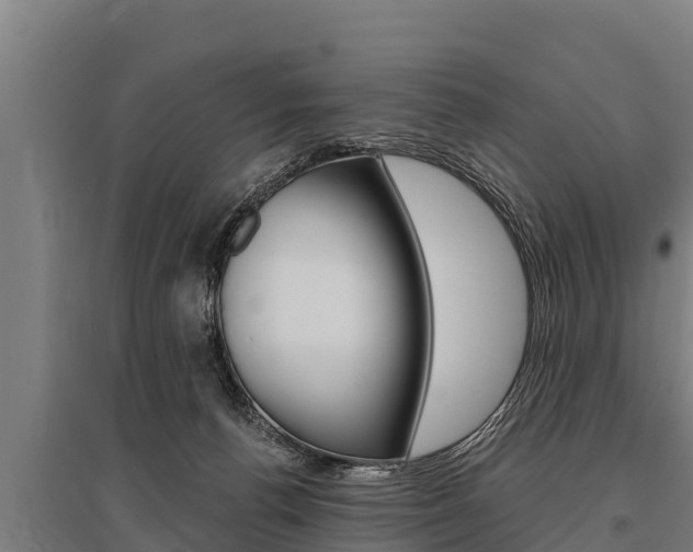 X0000096140176200801180900