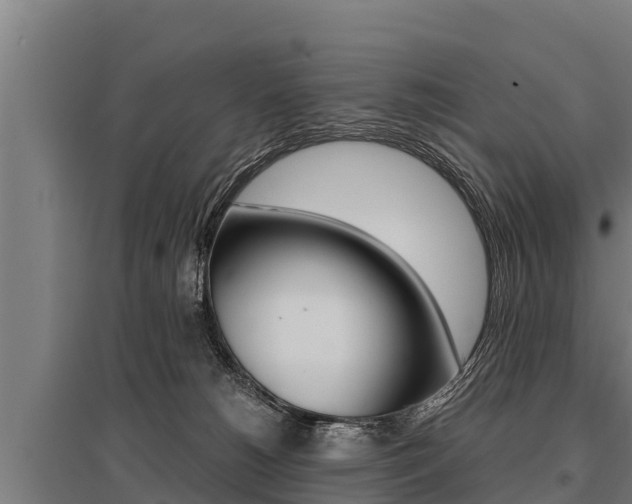X0000096140180200801180900