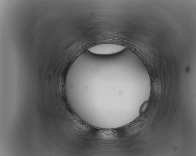 X0000096140181200801180900