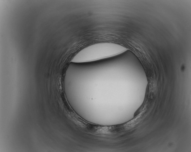 X0000096140182200801180900