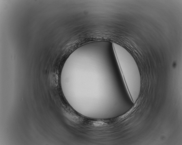 X0000096140183200801180900