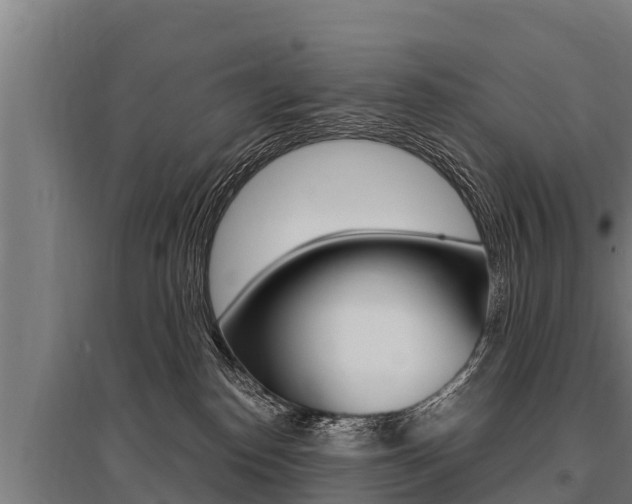 X0000096140186200801180900