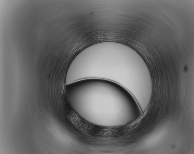 X0000096140190200801180900