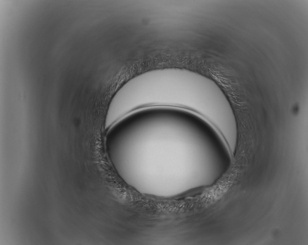 X0000096140192200801180900