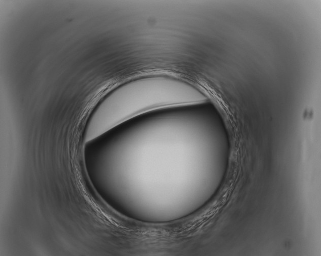 X0000096140193200801180859
