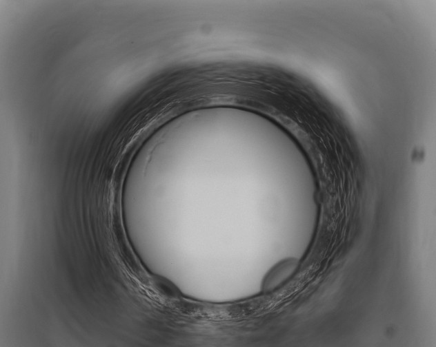 X0000096140194200801180859