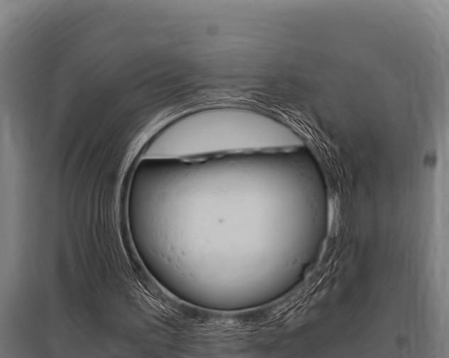 X0000096140195200801180859