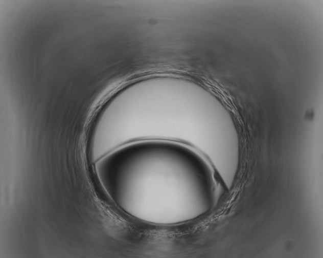 X0000096140197200801180859