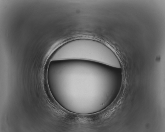 X0000096140199200801180859