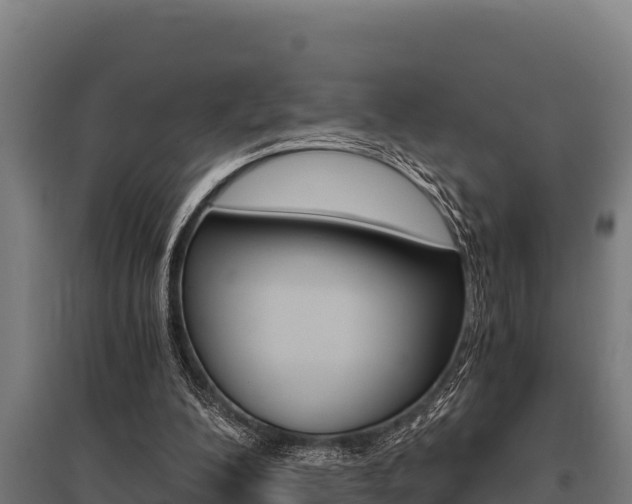X0000096140200200801180859