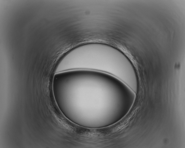 X0000096140201200801180859