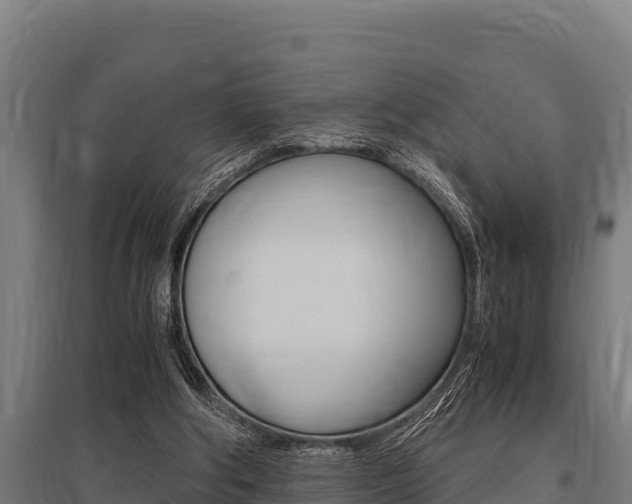 X0000096140202200801180859