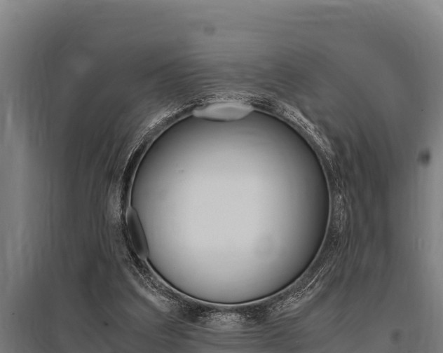 X0000096140203200801180859
