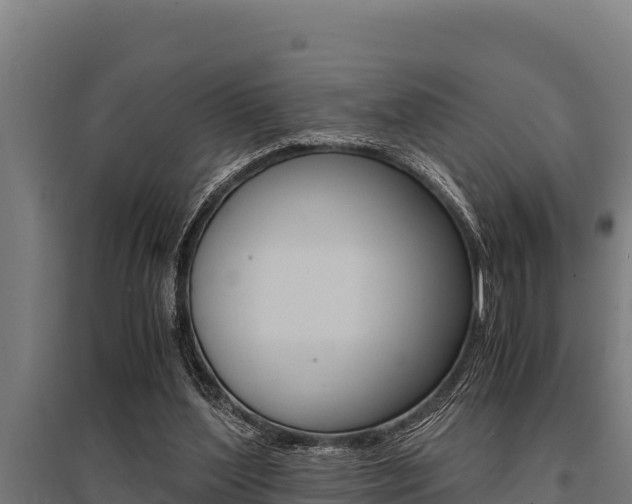 X0000096140204200801180859