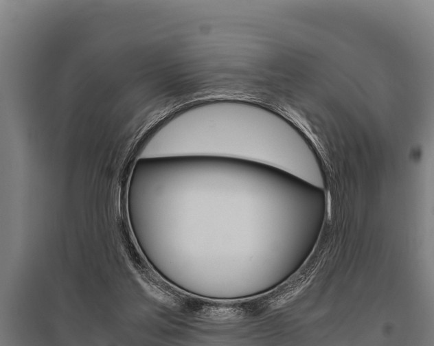 X0000096140205200801180859