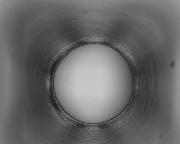 X0000096140206200801180859