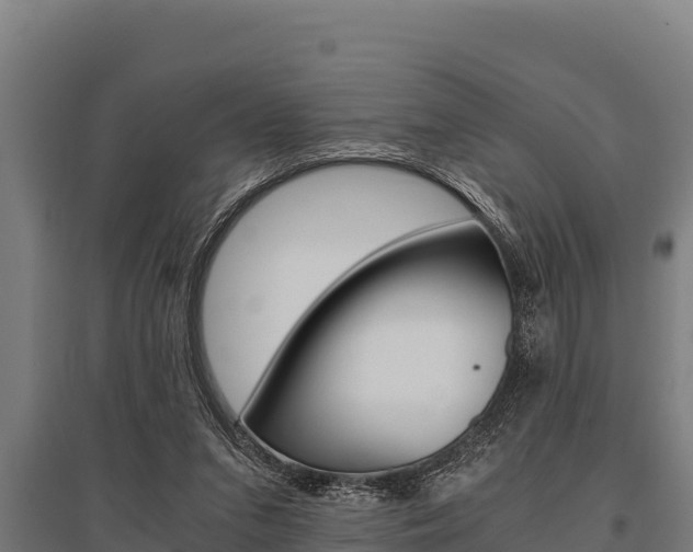 X0000096140207200801180859