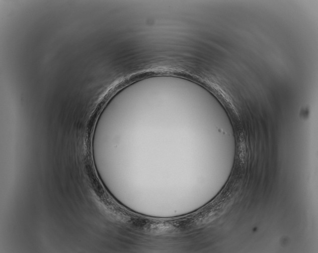 X0000096140208200801180859