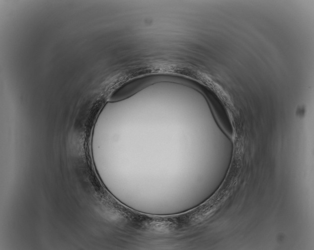 X0000096140209200801180859