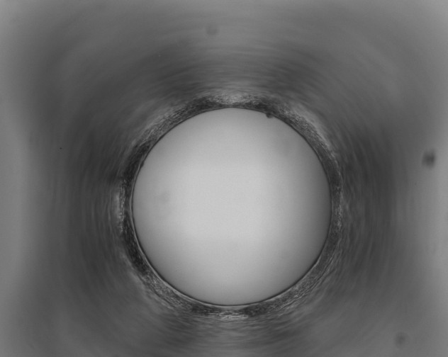 X0000096140210200801180859