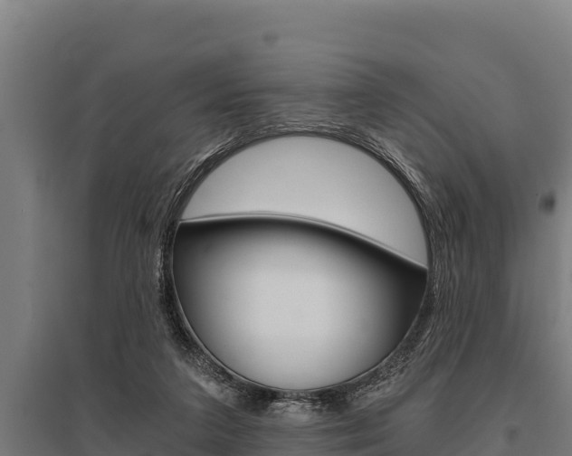 X0000096140211200801180859