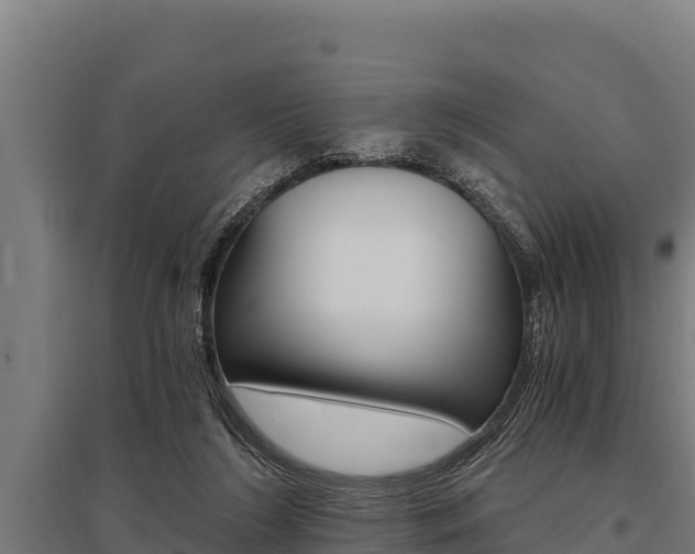 X0000096140212200801180859