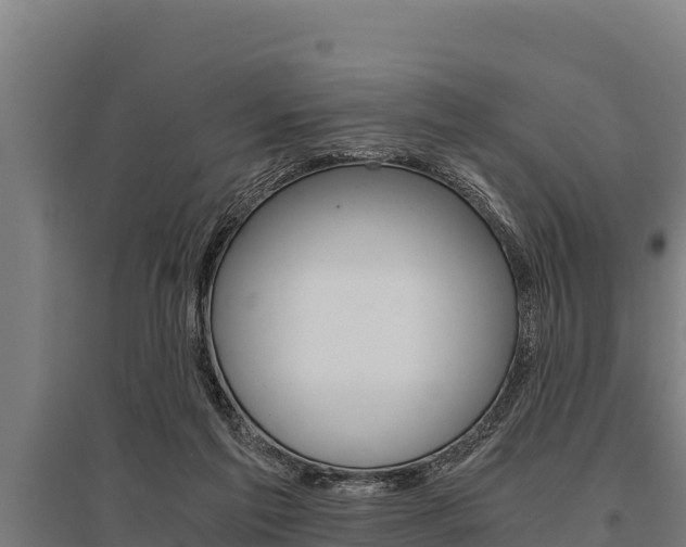 X0000096140213200801180859