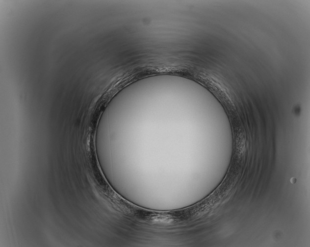 X0000096140214200801180859