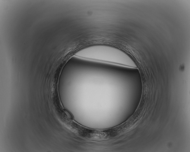 X0000096140215200801180859