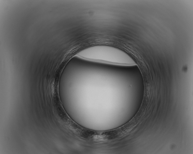 X0000096140216200801180859