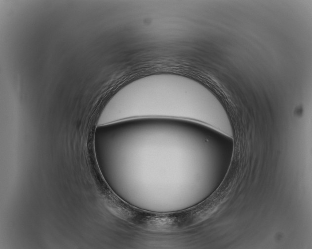 X0000096140217200801180859
