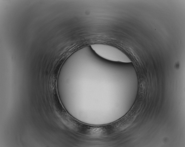 X0000096140218200801180859