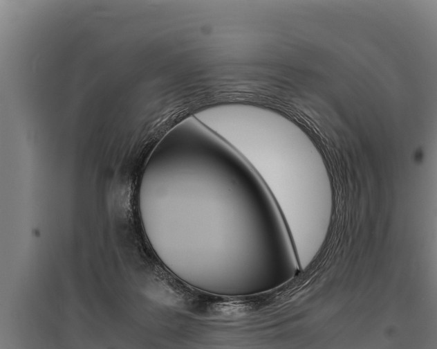 X0000096140219200801180859
