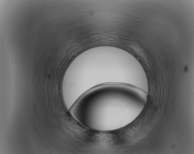 X0000096140221200801180859