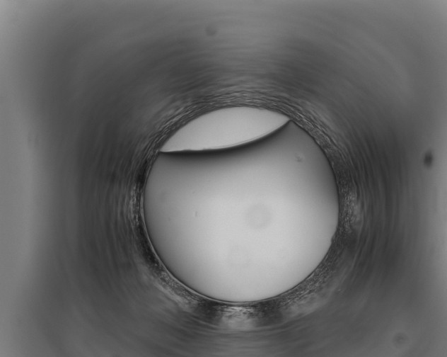 X0000096140222200801180859