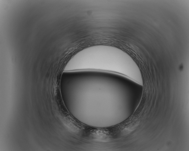 X0000096140223200801180859