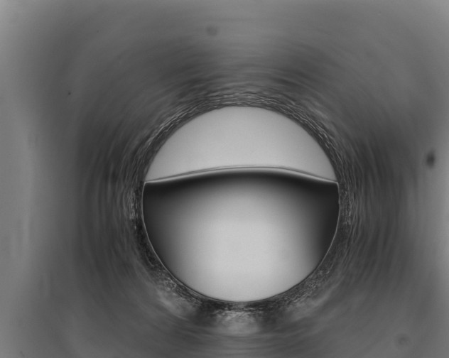 X0000096140224200801180859