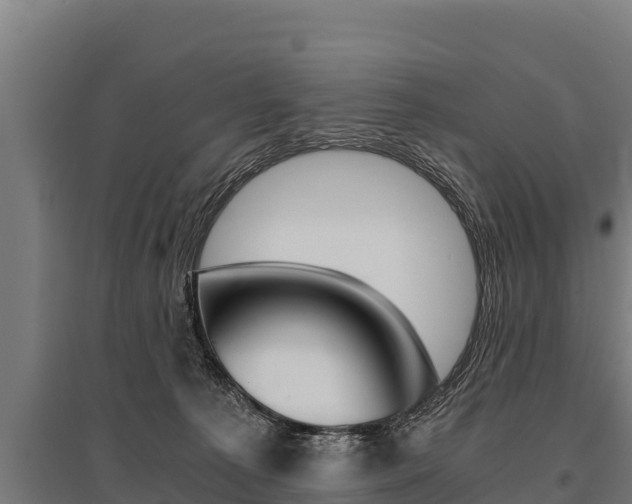 X0000096140225200801180859