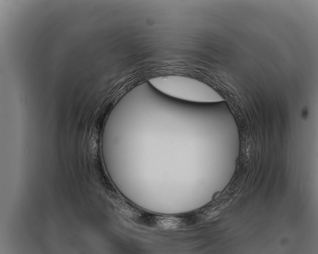 X0000096140226200801180859