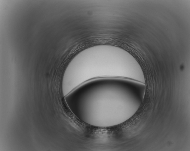 X0000096140227200801180859