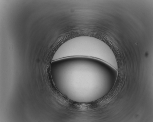 X0000096140229200801180859