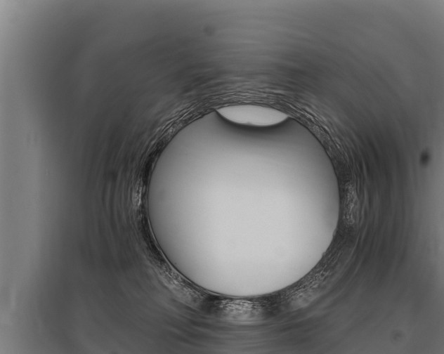 X0000096140230200801180859