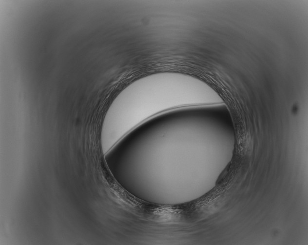 X0000096140231200801180859