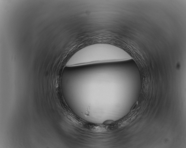 X0000096140232200801180859