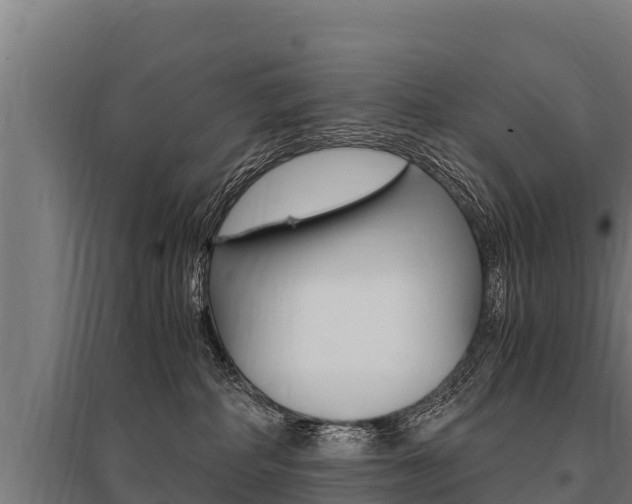 X0000096140234200801180859