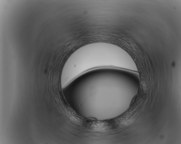 X0000096140235200801180859